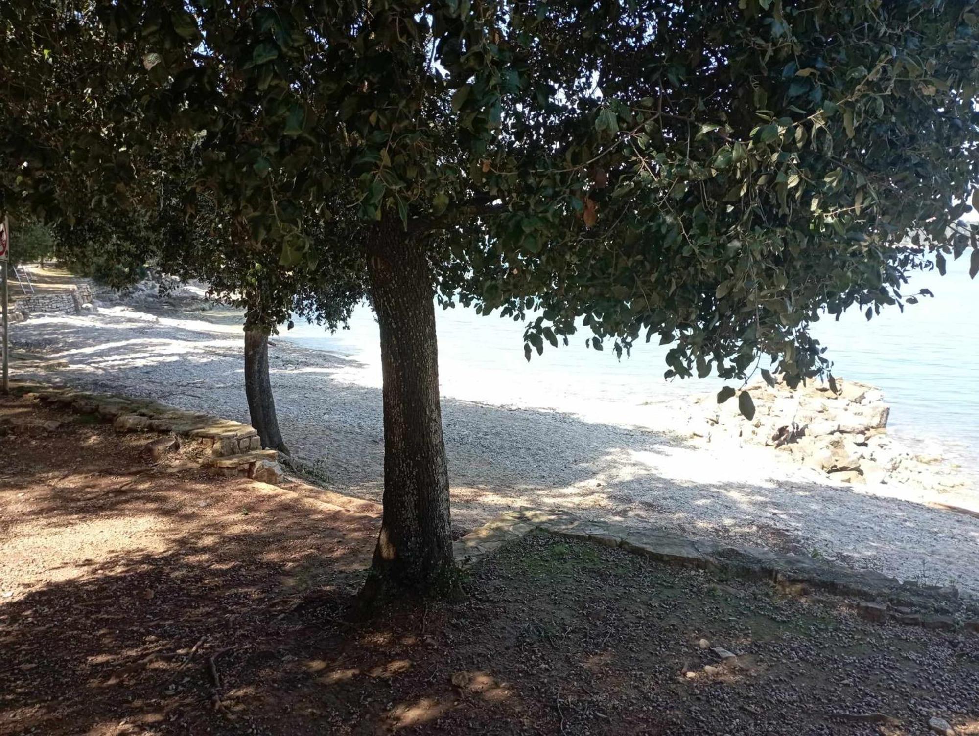 Apartman Angela Rovinj Buitenkant foto